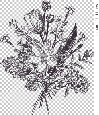 Spring bouquet. Botanical vintage illustration. Black drawing. Spring bouquet. Botanical vintage illustration. Black drawing. 114110469