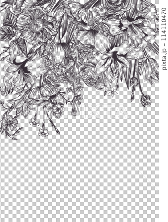 Invitation card with flowers and herbs. Botanical vintage illustration. Spring and summer plants. Black outline. 114110470