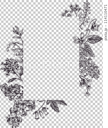 Vintage card with spring and summer garden flowers.  Graphic natural background. Black drawing. 114110471