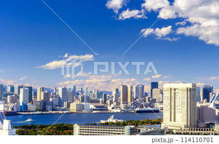 東京ベイエリア 東京ベイエリア 114110701