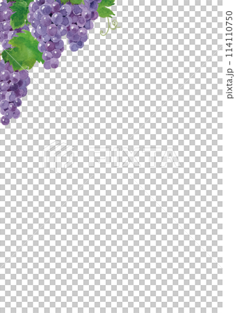 Grape frame hand-painted in watercolor 114110750