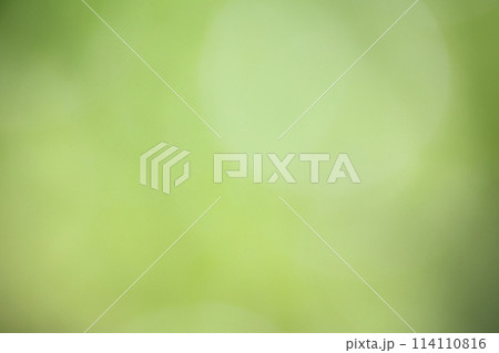 グリーングラデーション 背景素材 グリーングラデーション 背景素材 114110816