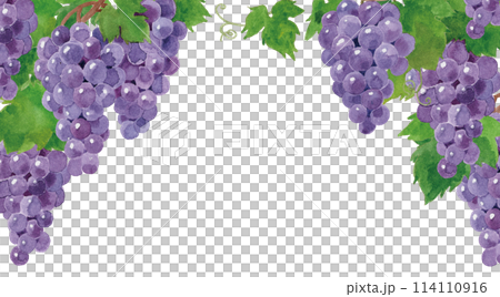 葡萄框水彩手繪 114110916