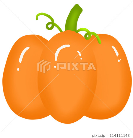 Pumpkin 114111148