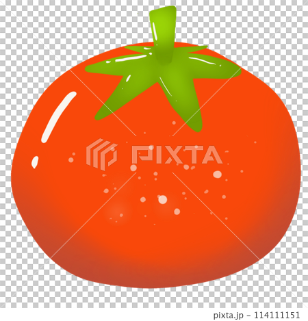 ripe tomato on white background ripe tomato on white background 114111151