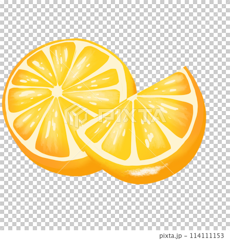 lime slices on white background 114111153