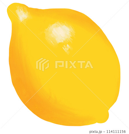 yellow lemon on white background 114111156