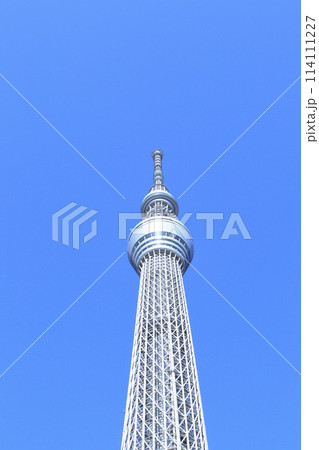 東京スカイツリーと青空 東京スカイツリーと青空 114111227