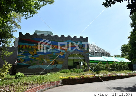 伊丹市昆虫館 伊丹市昆虫館 114111572