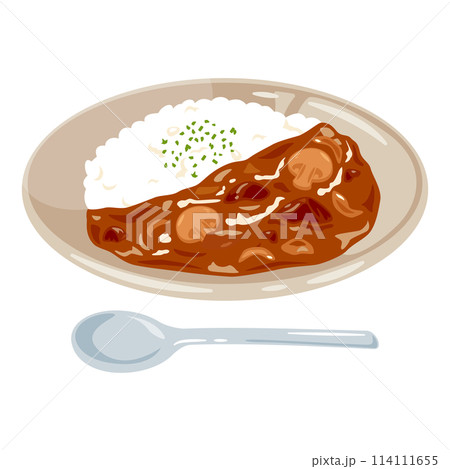 皿に盛られたビーフストロガノフライス 114111655