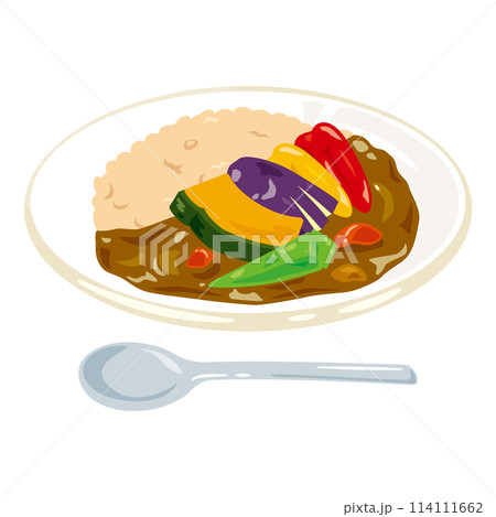 皿に盛られたベジタブルカレーライス 皿に盛られたベジタブルカレーライス 114111662