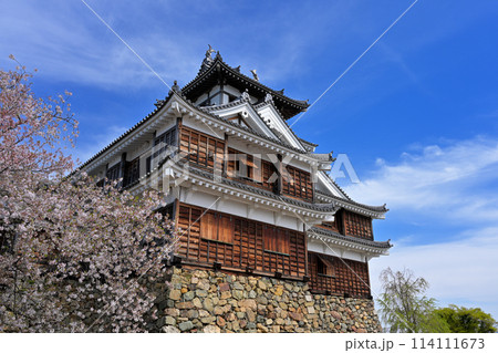 春の福知山城 天守閣(京都府福知山市) 春の福知山城 天守閣(京都府福知山市) 114111673
