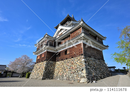春の福知山城 天守閣(京都府福知山市) 春の福知山城 天守閣(京都府福知山市) 114111678