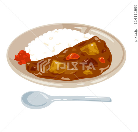 皿に盛られたカレーライス 114111699