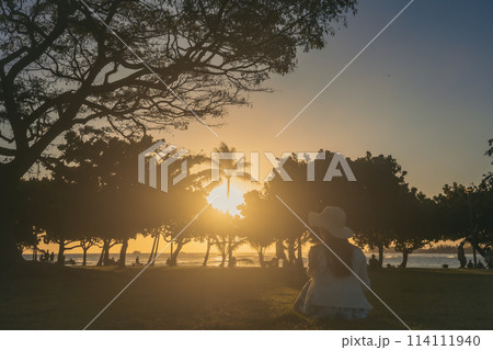 ハワイ、ホノルルのマジックアイランドの夕景 ハワイ、ホノルルのマジックアイランドの夕景 114111940