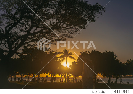 ハワイ、ホノルルのマジックアイランドの夕景 ハワイ、ホノルルのマジックアイランドの夕景 114111946