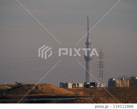 川口市荒川堤からのスカイツリーのある夕景 114112866