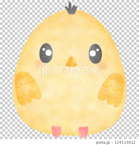 A collection of drawings and illustrations that include everything on the farm. 114113012