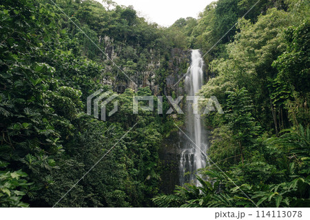 Wailua Falls on Maui, cascading 80 feet into the jungle 114113078