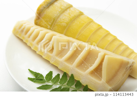 皿に乗ったたけのこ　白バック 114113443