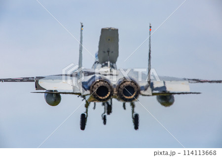 着陸するF-15戦闘機(アグレッサー) 着陸するF-15戦闘機(アグレッサー) 114113668