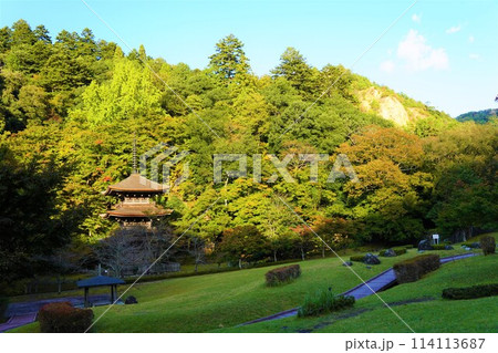 色付き始めた紅葉が美しい初秋の庭園 色付き始めた紅葉が美しい初秋の庭園 114113687