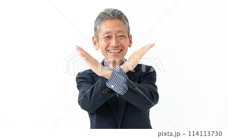 スーツ姿のシニア男性 114113730