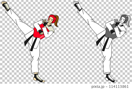 Illustration set of female athletes doing taekwondo 114113861