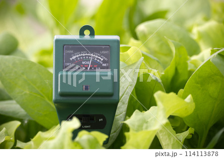 Soil moisture, light intensity and PH testing meter Soil moisture, light intensity and PH testing meter 114113878