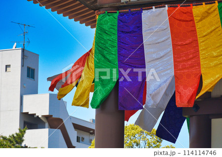 西新井大師　大本堂（東京都足立区） 114114746