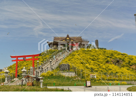 青森県八戸市蕪島初夏の風景 114114851