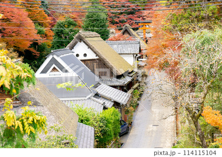 京都市右京区の愛宕街道　嵯峨鳥居本仙翁町　紅葉（愛宕街道を俯瞰） 114115104