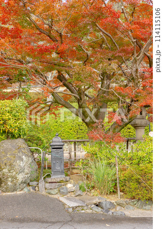 京都市右京区の嵯峨鳥居本一華表町　鳥居本バス停付近のレトロなポストと紅葉 114115106
