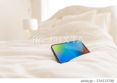 明る部屋の白いベッド 114115780