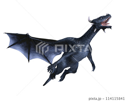 ドラゴン 114115841