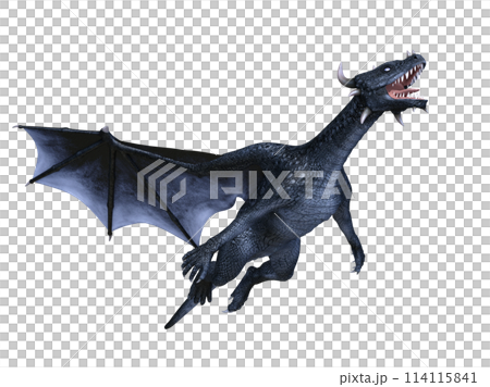 ドラゴン 114115841