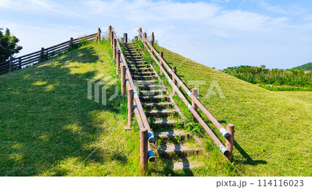大潟富士 大潟富士 114116023