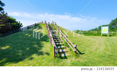 大潟富士 114116035