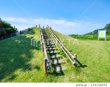 大潟富士 大潟富士 114116037