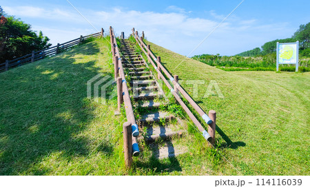 大潟富士 大潟富士 114116039