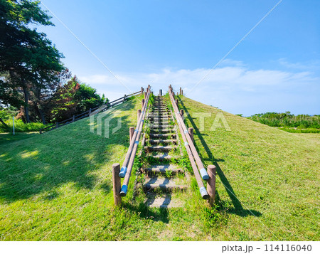 大潟富士 114116040