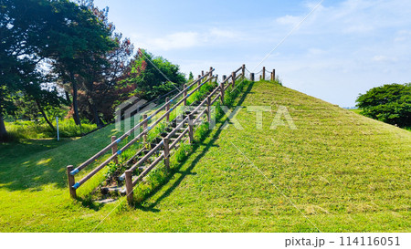 大潟富士 大潟富士 114116051