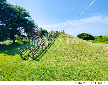 大潟富士 114116053