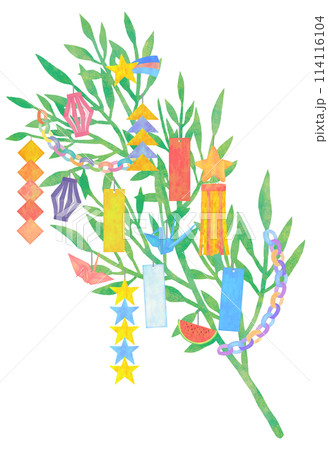 笹 七夕飾り 笹 七夕飾り 114116104