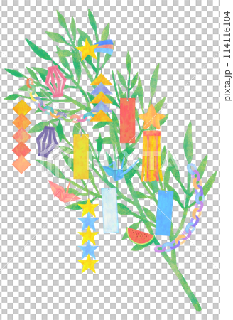 笹 七夕飾り 笹 七夕飾り 114116104