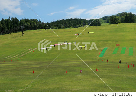 夏のスキー場のゲレンデでパラグライダーをする人たち 114116166