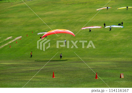 夏のスキー場のゲレンデでパラグライダーをする人たち 114116167