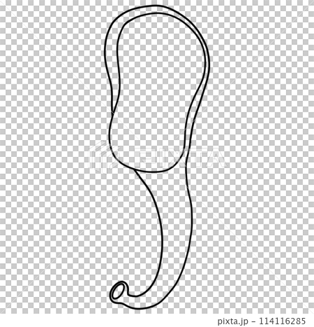 Incus is a small auditory bone located in the middle ear. Incus and ear doodle. 114116285