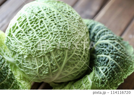 低農薬栽培のちりめんキャベツ　新鮮生野菜 114116720