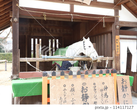 下鴨神社　賀茂御祖神社　京都 114117127